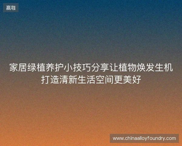 家居绿植养护小技巧分享让植物焕发生机打造清新生活空间更美好 家居绿植养护小技巧分享让植物焕发生机打造清新生活空间更美好
